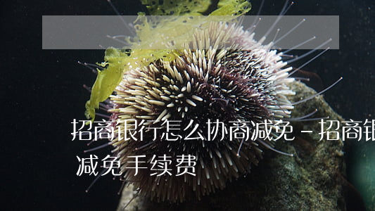 招商银行怎么协商减免-招商银行怎么协商减免手续费
