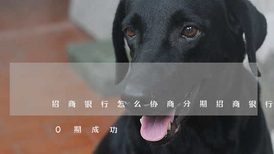 招商银行怎么协商分期(招商银行协商分期60期成功)