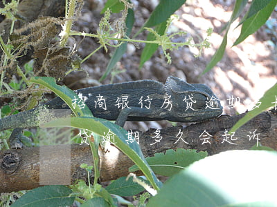 招商银行房贷逾期多长时间会被起诉（招行房贷逾期多久会起诉）