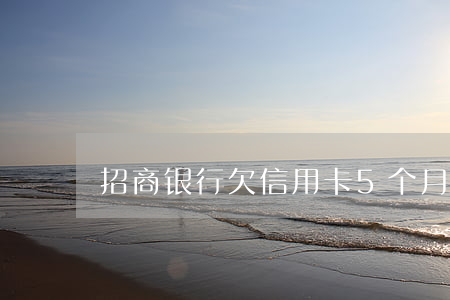 招商银行欠信用卡5个月被起诉-