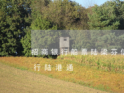 招商银行船票陆梁芬信用卡.法律-招商银行陆港通