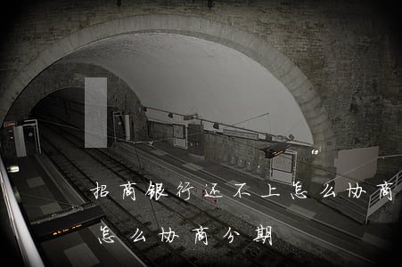 招商银行还不上怎么协商-招商银行还不上怎么协商分期