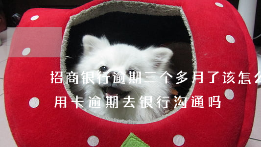 招商银行逾期三个多月了该怎么协商（招商信用卡逾期去银行沟通吗）