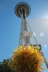 招商银行逾期半个月会被冻结还款卡么（招商信用卡逾期被冻结多久解冻）