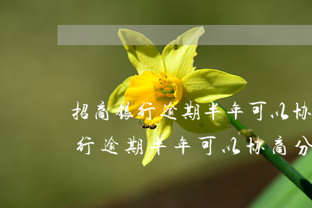 招商银行逾期半年可以协商分期么-招商银行逾期半年可以协商分期么吗