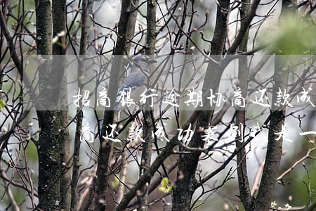 招商银行逾期协商还款成功案例 招商银行协商还款成功案例我是一名孕妇