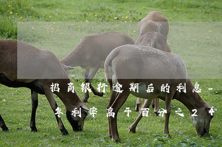 招商银行逾期后的利息-招商银行逾期利息年利率高于百分之24