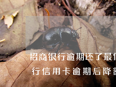 招商银行逾期还了最低还款额可以复卡吗（招行信用卡逾期后降额几次）