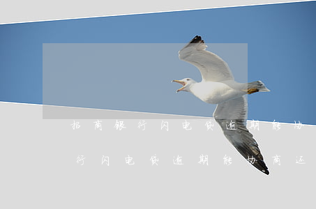 招商银行闪电贷逾期能协商还款吗-招商银行闪电贷逾期能协商还款吗怎么还