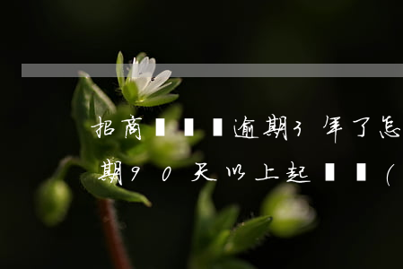 招商閃電貸逾期3年了怎么辦(招行閃電貸逾期90天以上起訴會(huì)怎么樣)