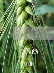 招商閃電貸逾期7萬(wàn)多被起訴(招商閃電貸欠款25萬(wàn),每月還能還3000,會(huì)被判刑嘛)