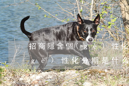 招商隱含個(gè)性化分期(招商隱含個(gè)性化分期是什么)