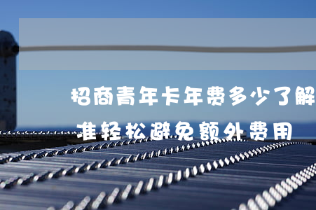 招商青年卡年费多少，了解招商青年卡年费标准，轻松避免额外费用