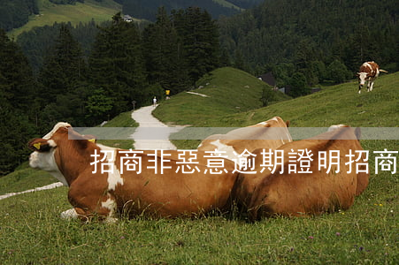 招商非惡意逾期證明(招商逾期起訴我了)