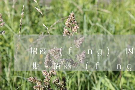 招商風(fēng)險因素暫停使用沒有逾期-招商風(fēng)險因素暫停使用沒有逾期會怎么樣