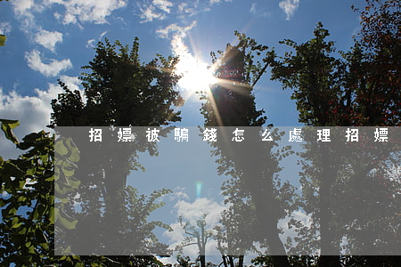招嫖被騙錢怎么處理(招嫖被騙了錢能追回嗎)