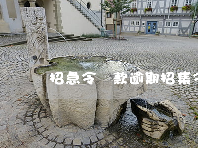 招急令貸款逾期(招集令貸款逾期)