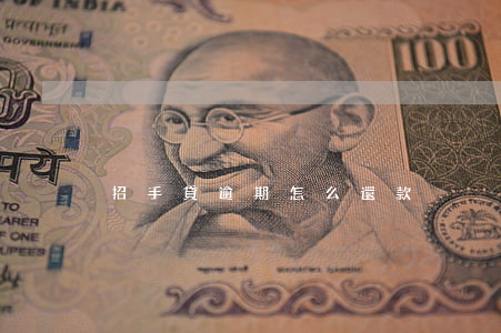 招手貸逾期怎么還款