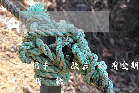 招手貸還款后還說有逾期(被催收說有借款讓我還款)