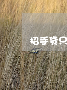 招手贷只还本金(招手贷只还本金)