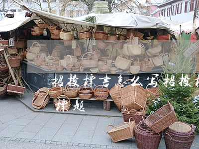 招投标书怎么写(招投标书怎么写1002无标题)