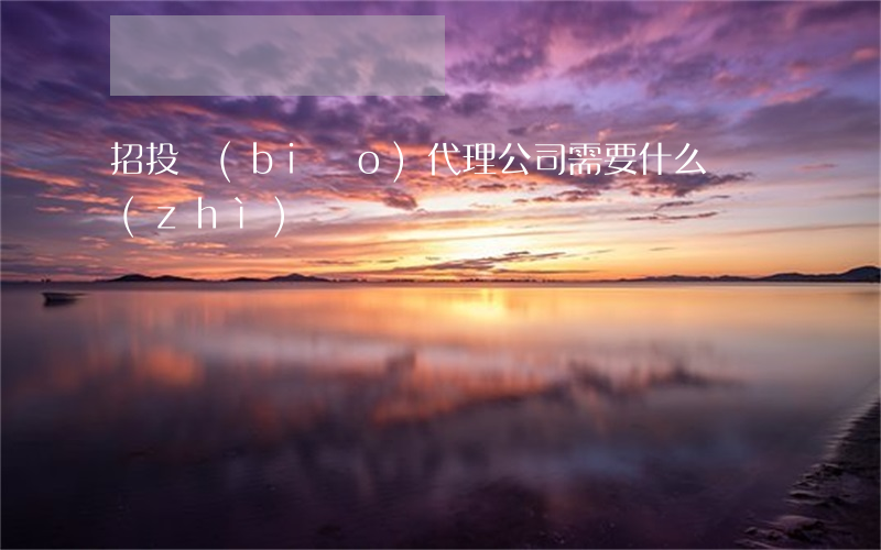招投標(biāo)代理公司需要什么資質(zhì)