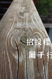 招投標(biāo)廢標(biāo)是否屬于行政訴訟