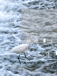 招投標(biāo)文件(招投標(biāo)文件編制要求和內(nèi)容)