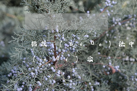 招投標(biāo)法中招投分別有哪些內(nèi)容