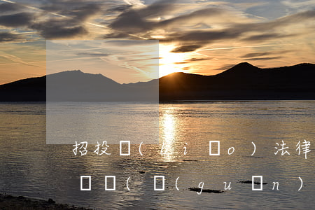 招投標(biāo)法律法規(guī)匯編書(關(guān)于招投標(biāo)法的法律法規(guī))