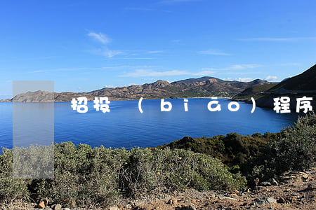 招投標(biāo)程序是怎樣的