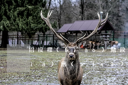 招投標(biāo)階段控制工程造價(jià)應(yīng)采取哪些措施
