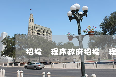 招投標程序(政府招投標程序)