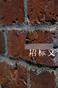 招标文件的法律地位是什么