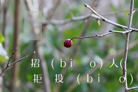 招標(biāo)人(業(yè)主)可以拒絕投標(biāo)的施工企業(yè)有哪些