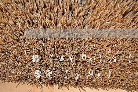 招標(biāo)人對(duì)什么證件要查驗(yàn)