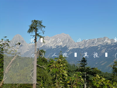 招標(biāo)人能否要求投標(biāo)人改變其投標(biāo)的實(shí)質(zhì)內(nèi)容或報(bào)價(jià)