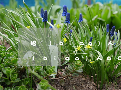 招標(biāo)人舉證不能，被判退還投標(biāo)人60萬(wàn)投標(biāo)保證金