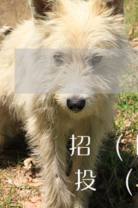 招標(biāo)人違反招標(biāo)投標(biāo)法需承擔(dān)什么責(zé)任