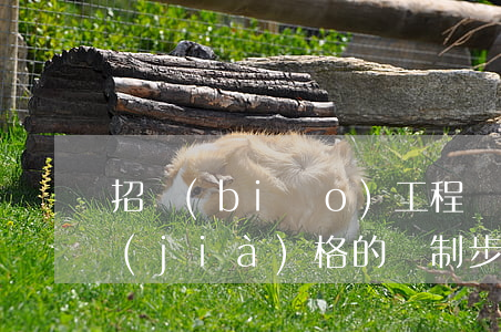 招標(biāo)工程標(biāo)底價(jià)格的編制步驟有哪些