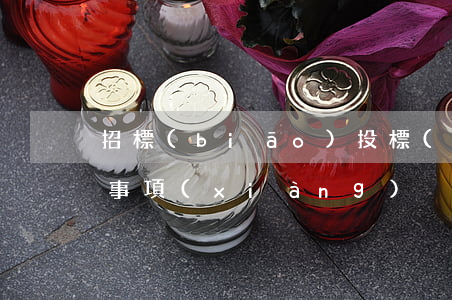 招標(biāo)投標(biāo)的注意事項(xiàng)