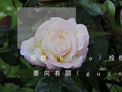 招標(biāo)投標(biāo)需不需要向有關(guān)部門(mén)進(jìn)行工程報(bào)建