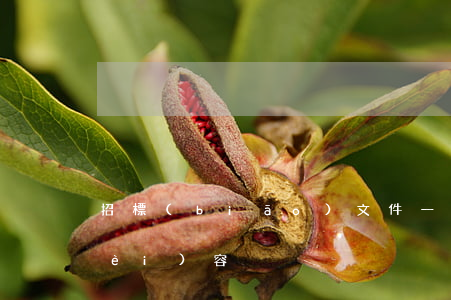 招標(biāo)文件一般包含哪些內(nèi)容