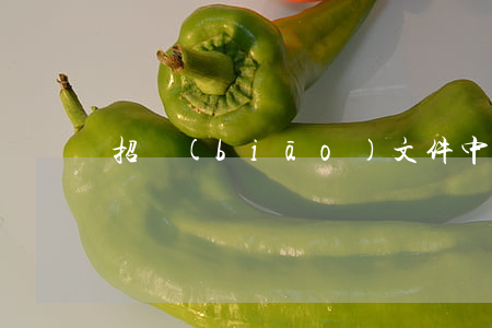 招標(biāo)文件中的合同條款是什么