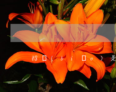 招標(biāo)是什么意思