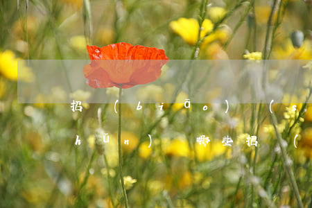 招標(biāo)時(shí)需要準(zhǔn)備哪些招標(biāo)文件