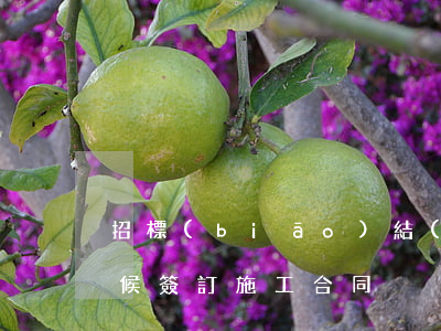 招標(biāo)結(jié)束后什么時候簽訂施工合同