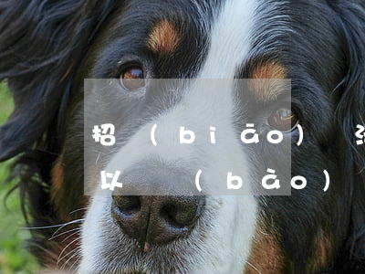 招標(biāo)違法誰(shuí)都可以舉報(bào)嗎(個(gè)人可以舉報(bào)招投標(biāo)嗎)