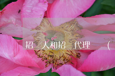 招標人和招標代理機構(gòu)是什么