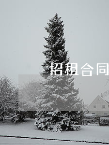 招租合同糾紛怎么處理